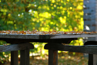 Fallen autumn leaves on wooden table by chairs