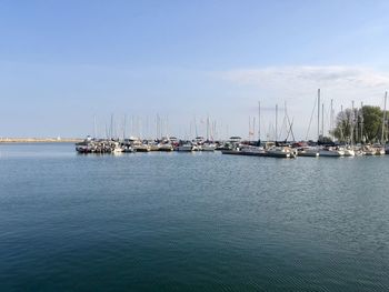 Sailboats moored at harbor against sky