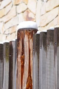 Snow capped fence