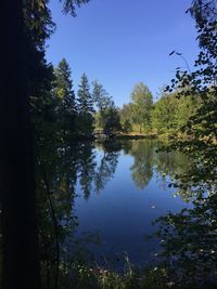 Scenic view of lake in forest against sky