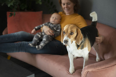 Happy grandmother,baby grandson and cute beagle dog on sofa at home