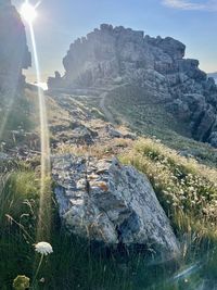 nature