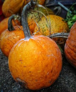 Pumpkins autumn october colors food