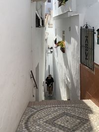 Rear view of people walking on alley amidst buildings in city