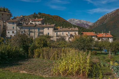 Trees and houses on field by mountain against sky