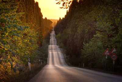 Road amidst trees in forest