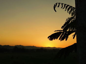 Close-up of silhouette tree against sunset sky