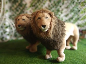 Pair of lions stuff toy
