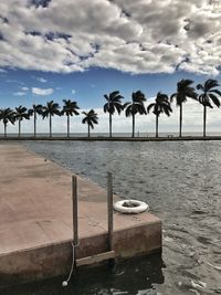 Palm trees on beach against sky