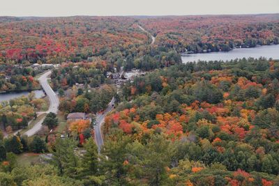 High angle view of trees by river during autumn