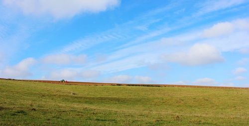 Scenic view of agricultural field against sky