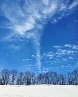 Bare trees on snow covered landscape against blue sky