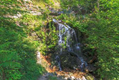 Waterfall in forest