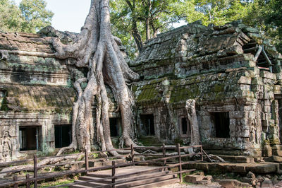 View of a temple