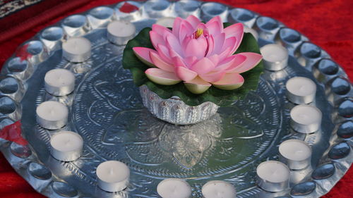 High angle view of water lilies in container on table