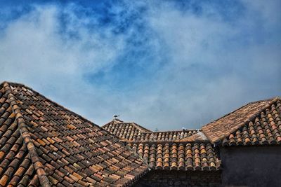 Spain bird vintage rooftop