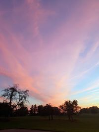 Silhouette trees on field against sky at sunset