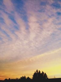 Low angle view of silhouette trees against sky