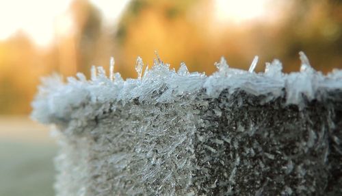 Close-up of snowflakes