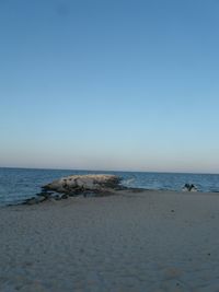 View of calm beach against clear blue sky