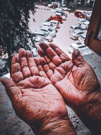 High angle view of person holding ice