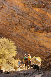 Group of people walking on land