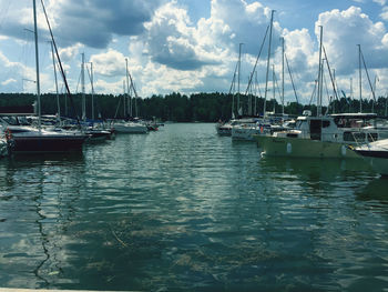 Sailboats moored in harbor