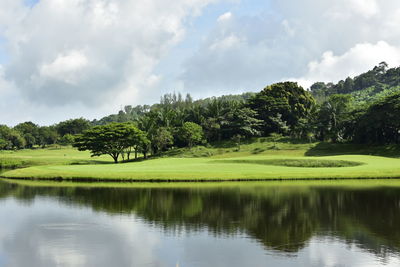 Scenic view of trees by lake against sky