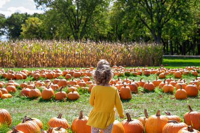 Rear view of woman standing by pumpkins on field