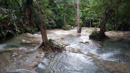 Scenic view of waterfall