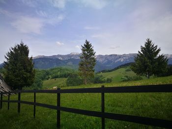 Scenic view of field against sky