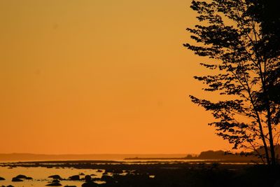 Silhouette tree by calm sea against orange sky