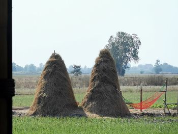 Trees on field against clear sky