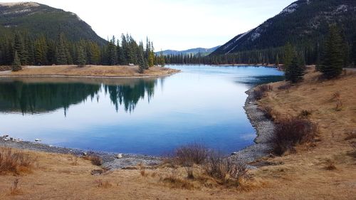 Scenic view of lake in forest