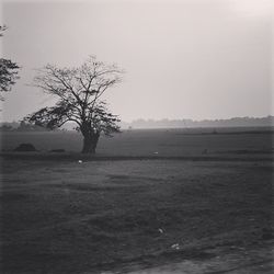 Scenic view of calm lake