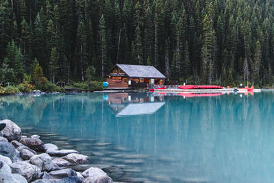 Scenic view of lake by trees in forest