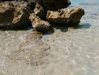 High angle view of rock formation at beach