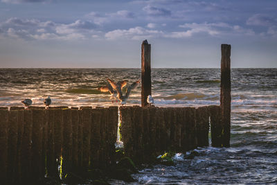 Wooden posts on beach against sky