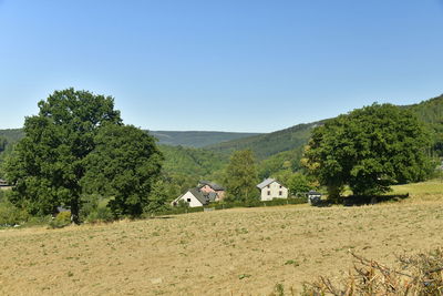 Trees and houses on field against sky