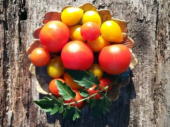 Directly above shot of fruits on table