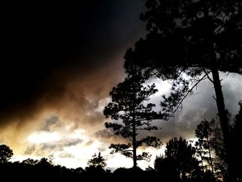 Low angle view of silhouette trees against sky at sunset