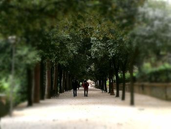 Men walking on tree