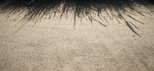 Full frame shot of sand on field