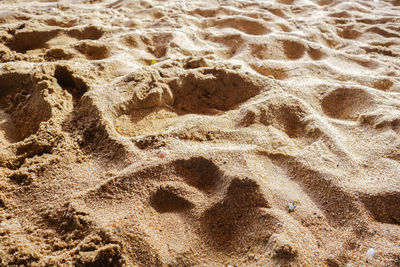 High angle view of footprints on sand at beach