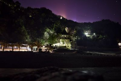 Trees at night