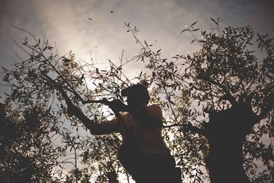 Low angle view of silhouette person standing by tree against sky