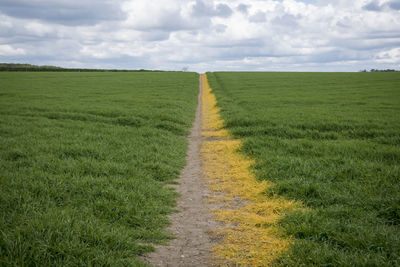 Public footpath crossing green field in the english countryside,