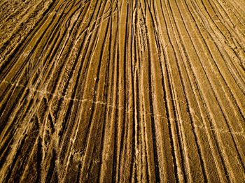 Full frame shot of agricultural field