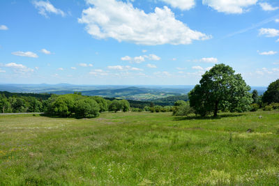 Big tree and green meadow in the hohe rhön, bavaria, germany, with blue sky and a view of the valley