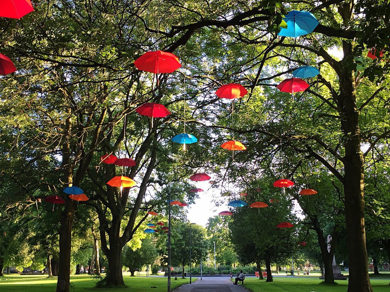 tree, growth, park - man made space, branch, green color, grass, nature, street light, freshness, sunlight, sky, beauty in nature, day, low angle view, outdoors, red, incidental people, park, flower, hanging